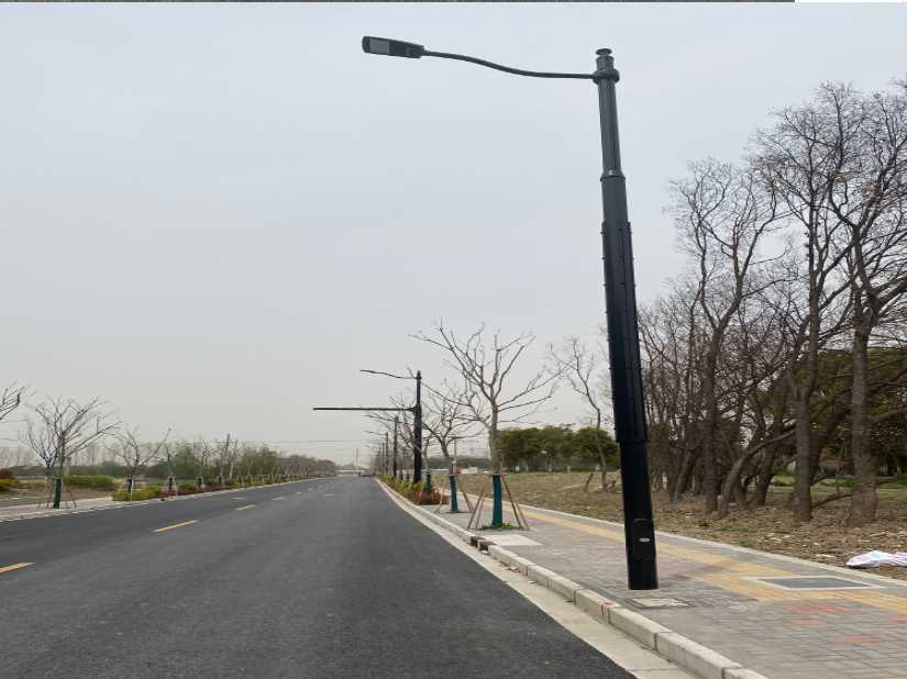 中宁县上海综合杆 太阳能路灯工程